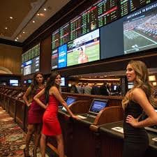 03 bet casino 03 bet casino